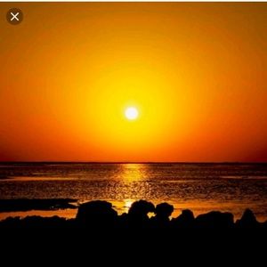 Meet your Posher, Marreya